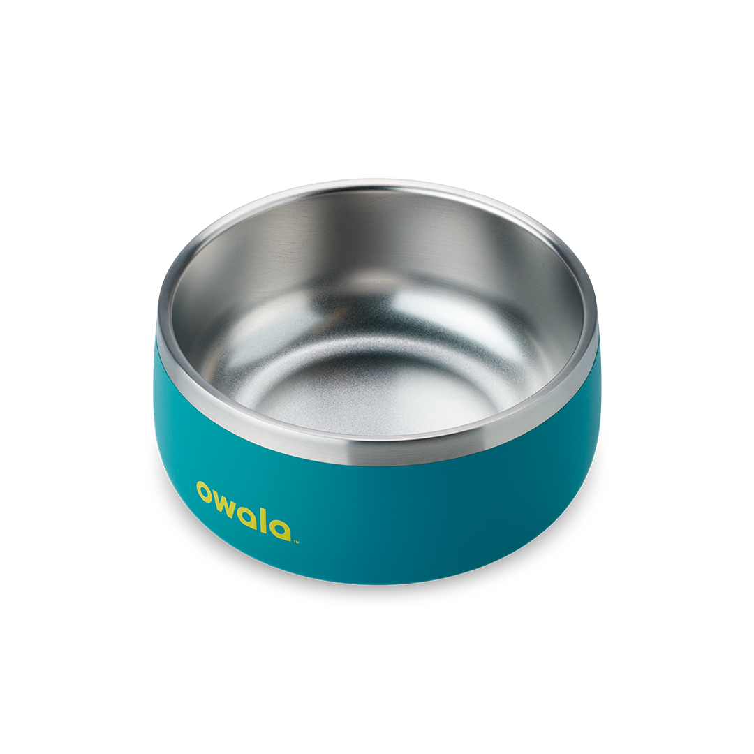 Pet Bowl Turquoise & Caicos